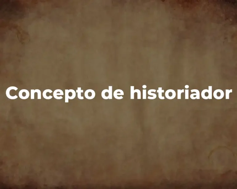 Concepto de historiador