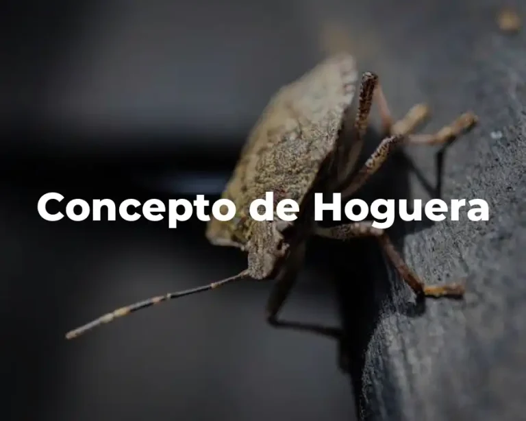 Concepto de Hoguera