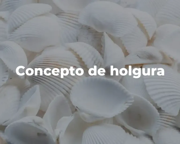 Concepto de holgura