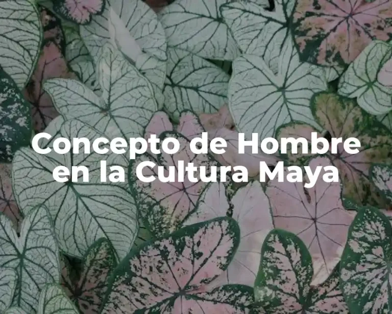 Concepto de Hombre en la Cultura Maya