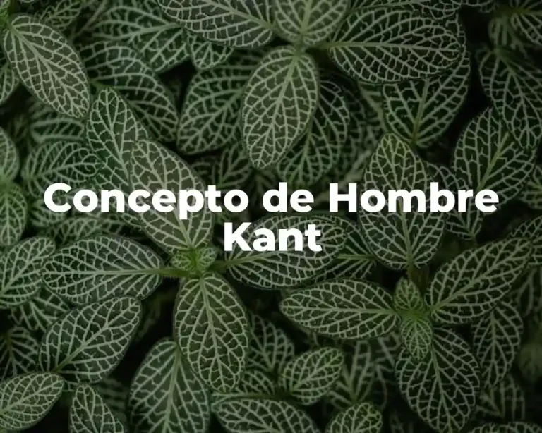 Concepto de Hombre Kant