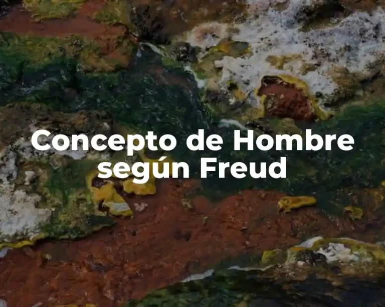 Concepto de Hombre según Freud