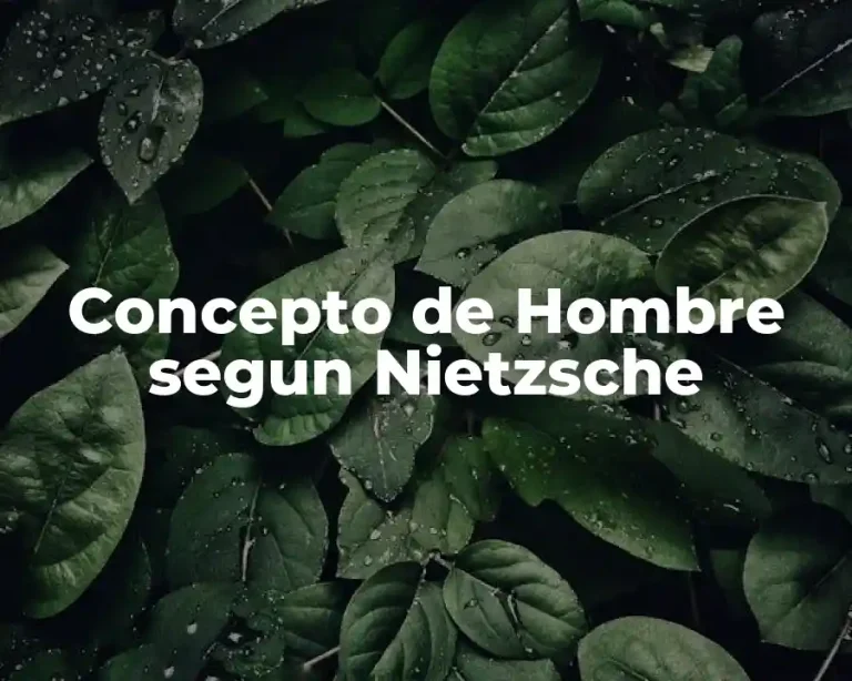 Concepto de Hombre segun Nietzsche