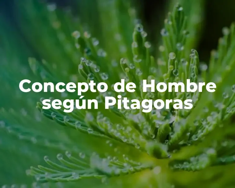 Concepto de Hombre según Pitagoras