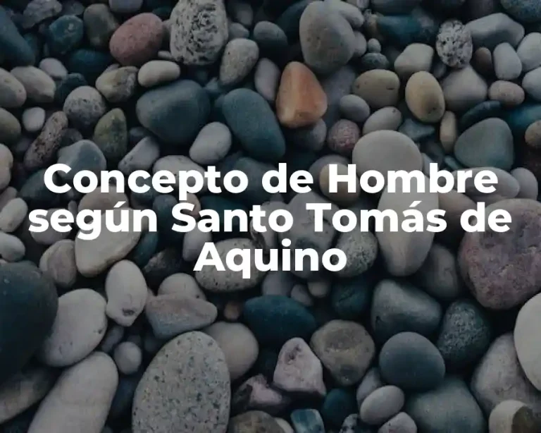 Concepto de Hombre según Santo Tomás de Aquino