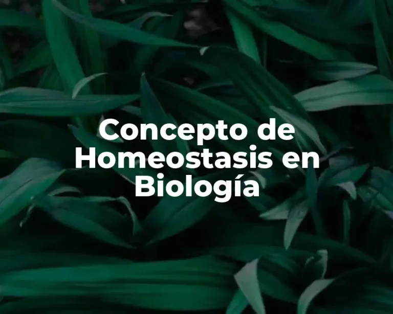 Concepto de Homeostasis en Biología