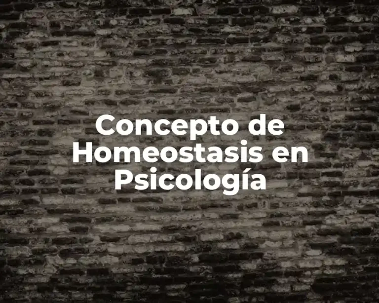 Concepto de Homeostasis en Psicología