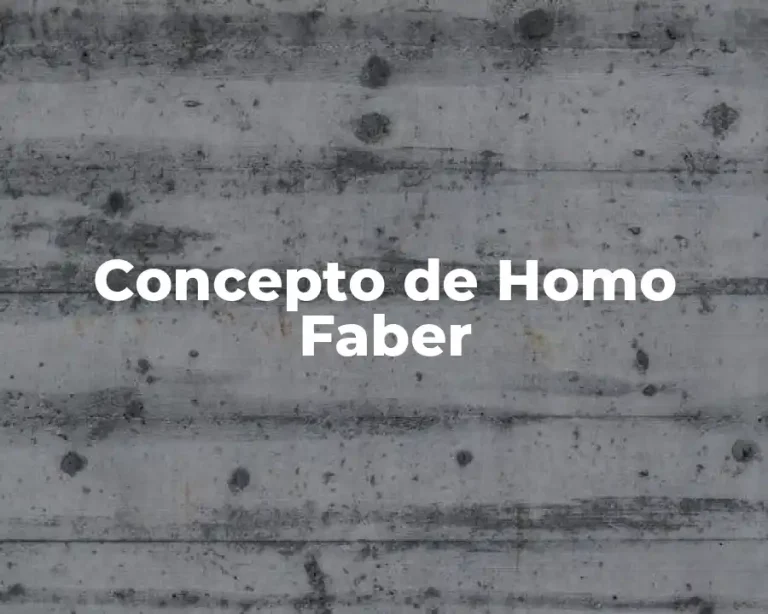 Concepto de Homo Faber