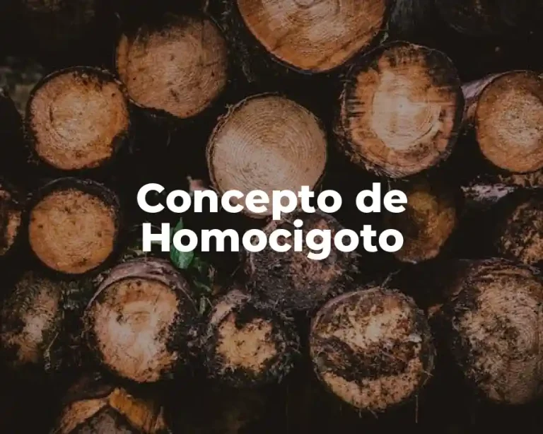 Concepto de Homocigoto