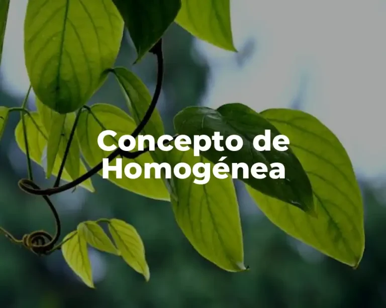 Concepto de Homogénea