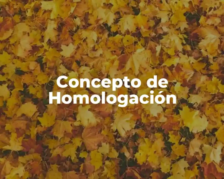 Concepto de Homologación