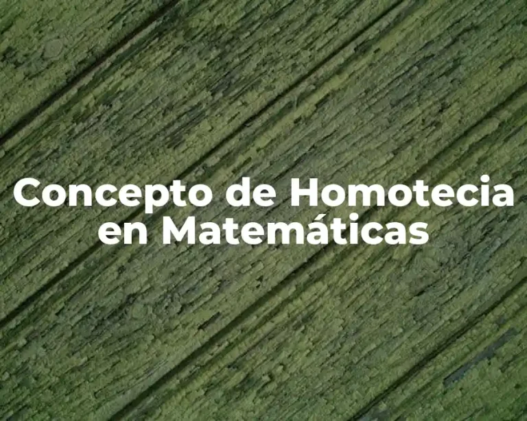 Concepto de Homotecia en Matemáticas