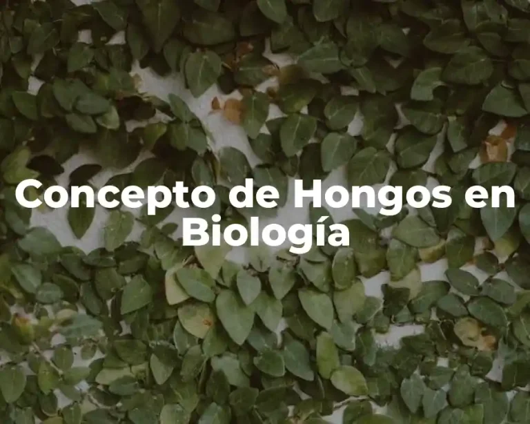 Concepto de Hongos en Biología