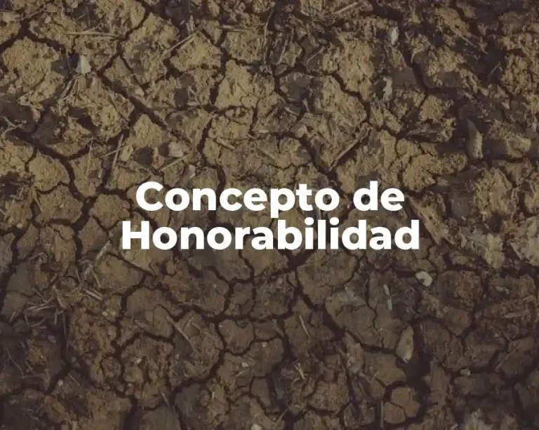 Concepto de Honorabilidad