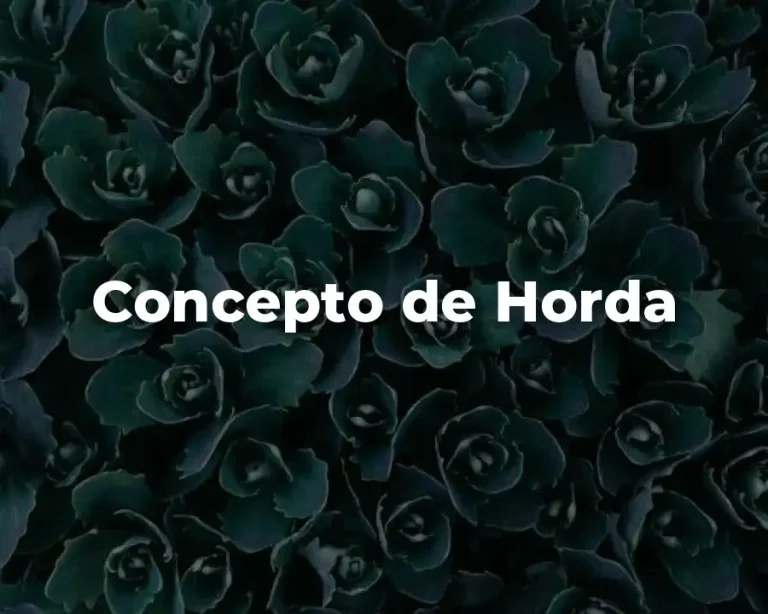 Concepto de Horda