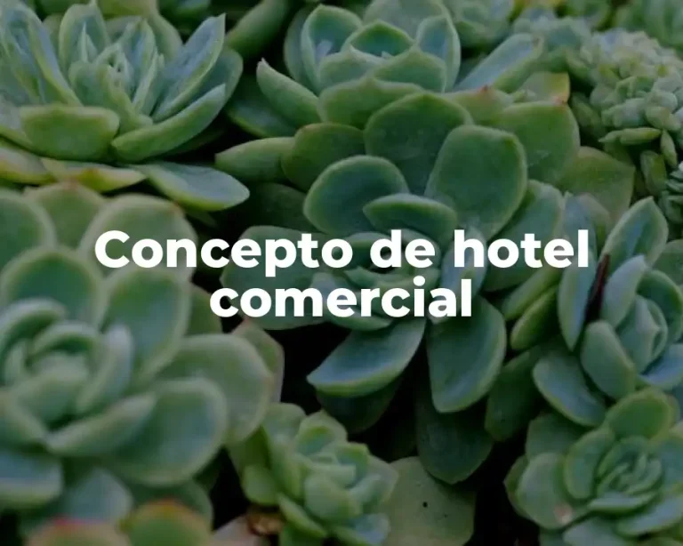Concepto de hotel comercial