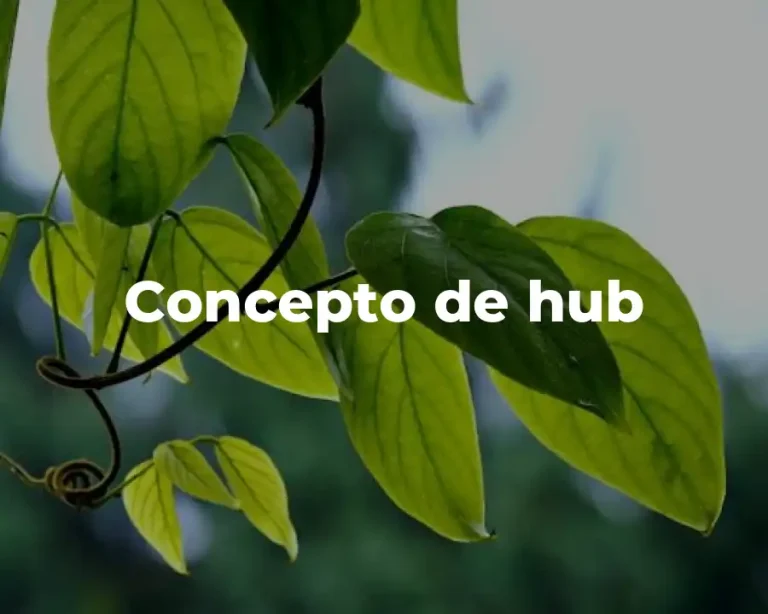 Concepto de hub