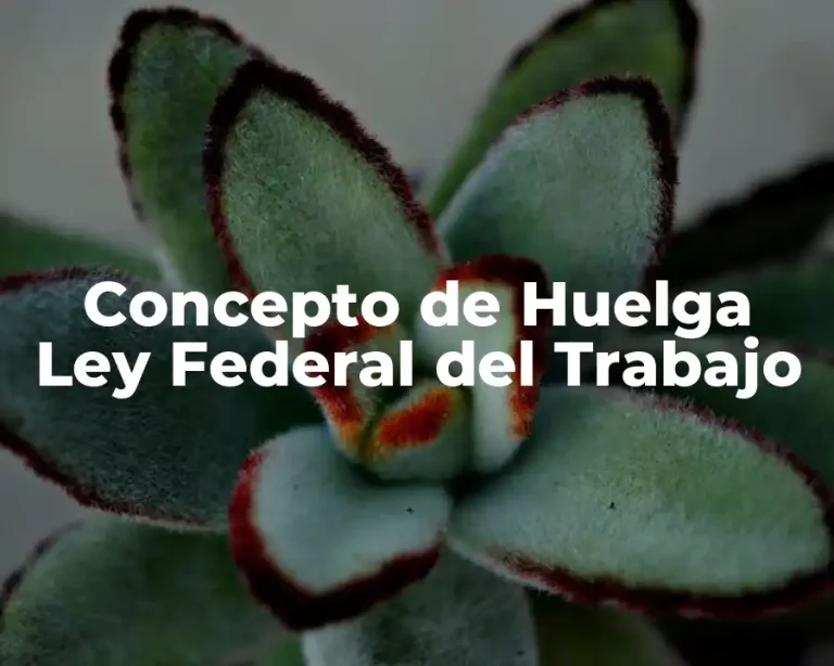 Concepto de Huelga Ley Federal del Trabajo