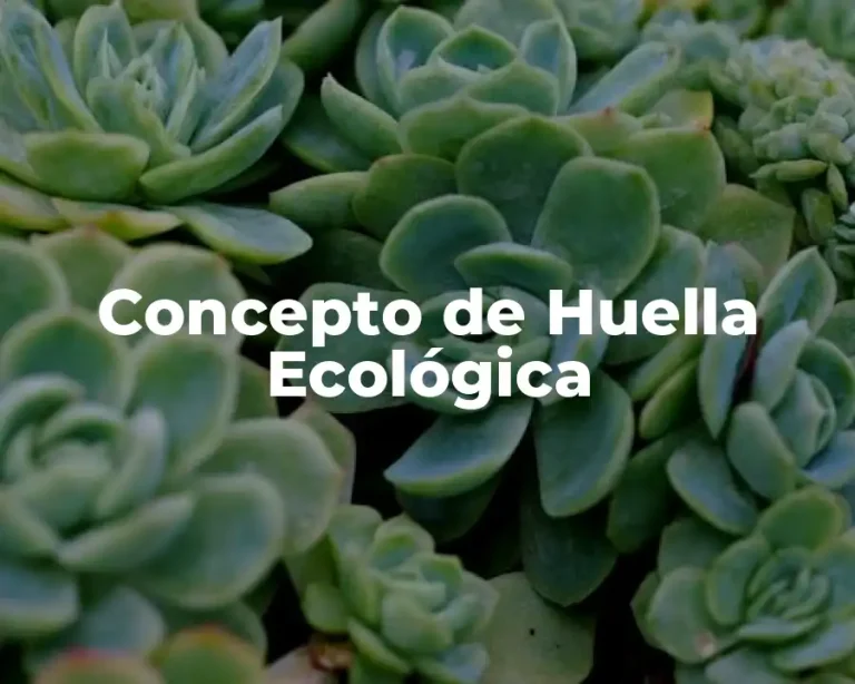Concepto de Huella Ecológica