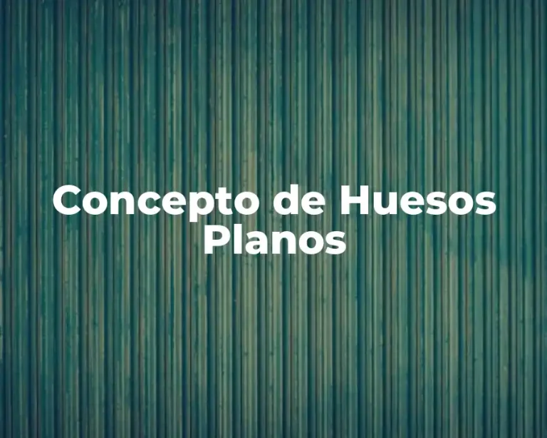 Concepto de Huesos Planos