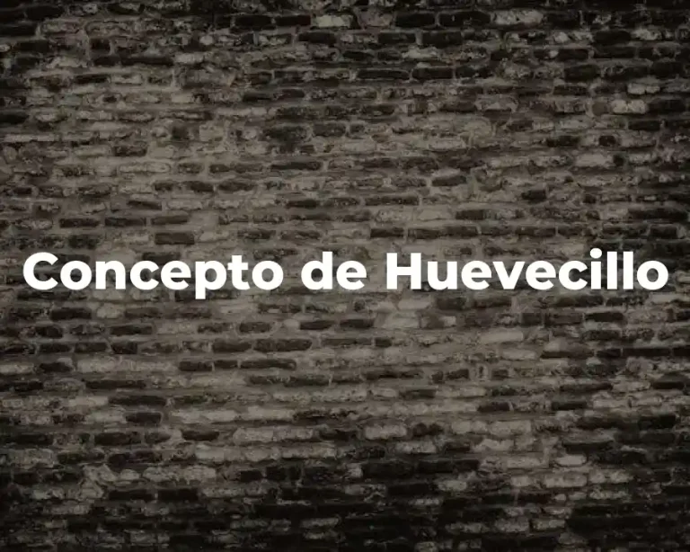 Concepto de Huevecillo