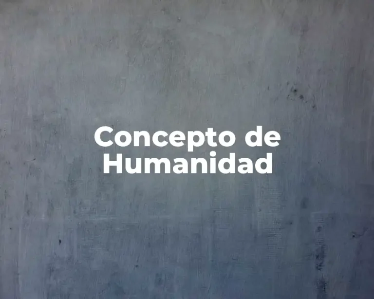 Concepto de Humanidad