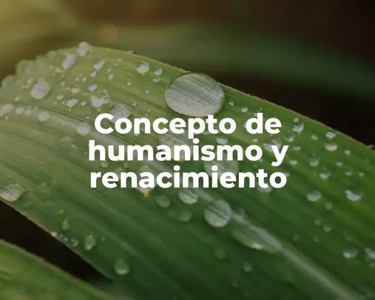 Concepto de humanismo y renacimiento