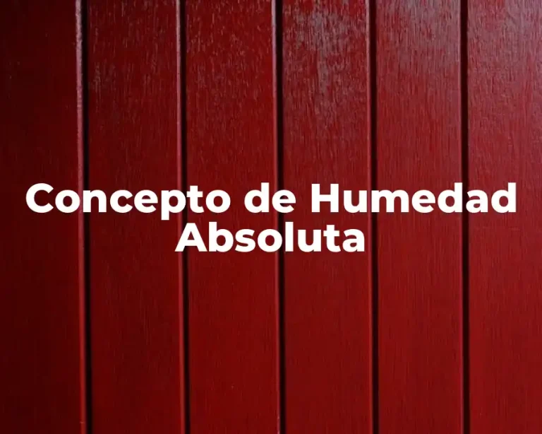 Concepto de Humedad Absoluta