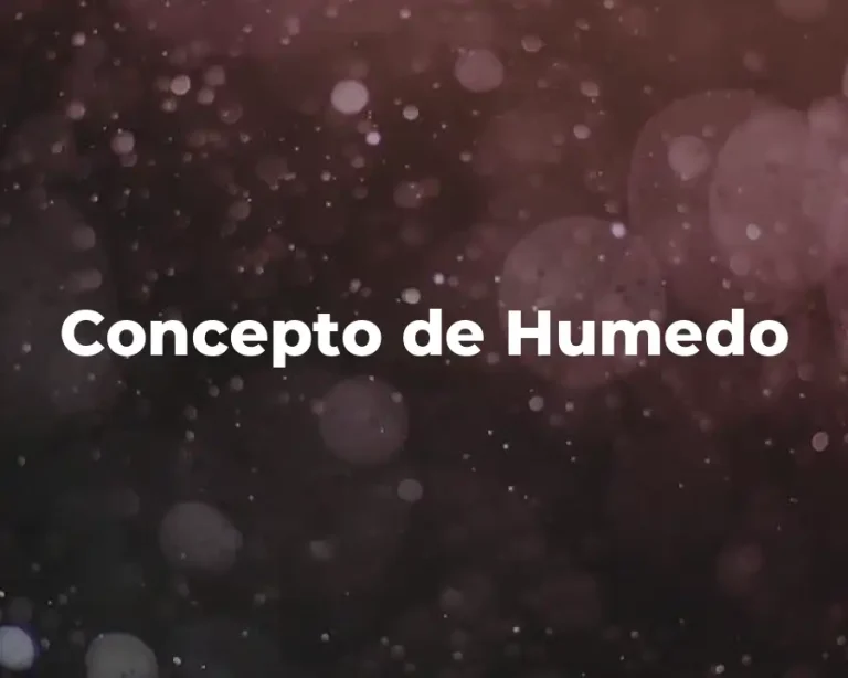 Concepto de Humedo