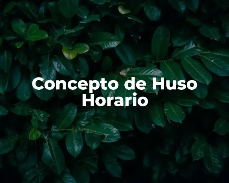 Concepto de Huso Horario