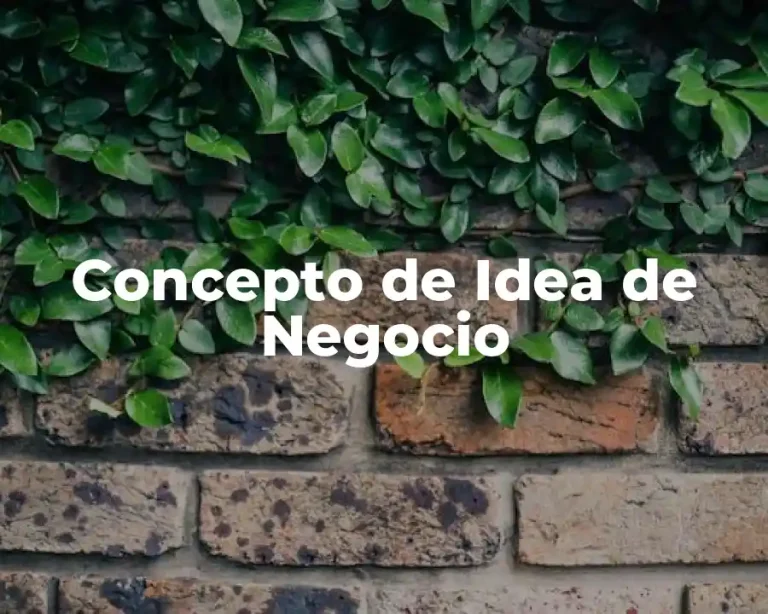 Concepto de Idea de Negocio
