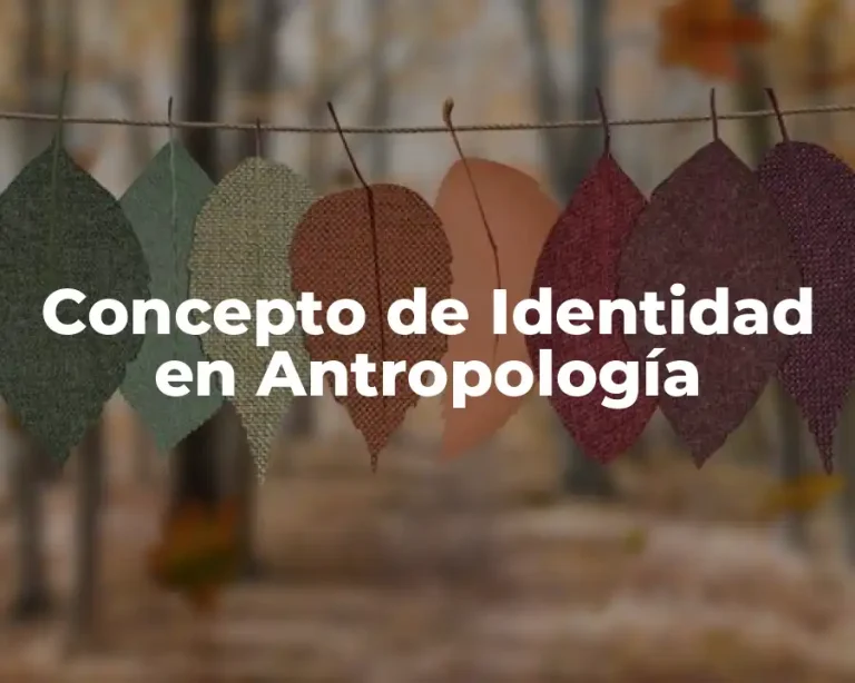 Concepto de Identidad en Antropología
