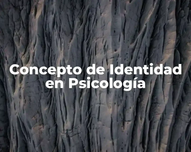 Concepto de Identidad en Psicología