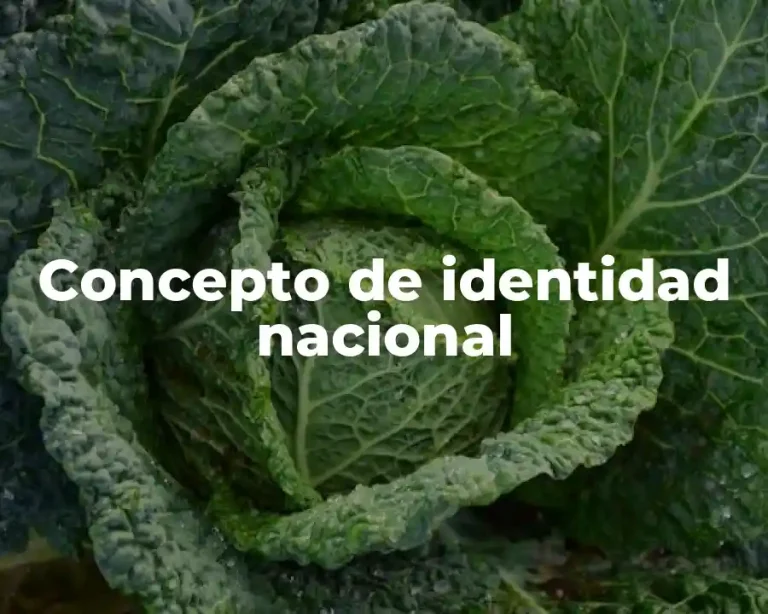 Concepto de identidad nacional