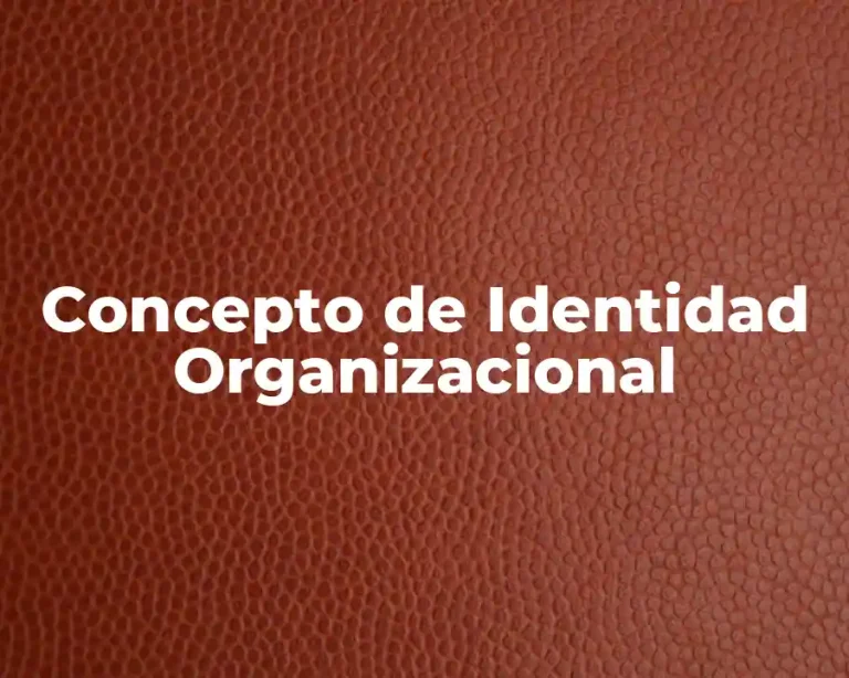 Concepto de Identidad Organizacional
