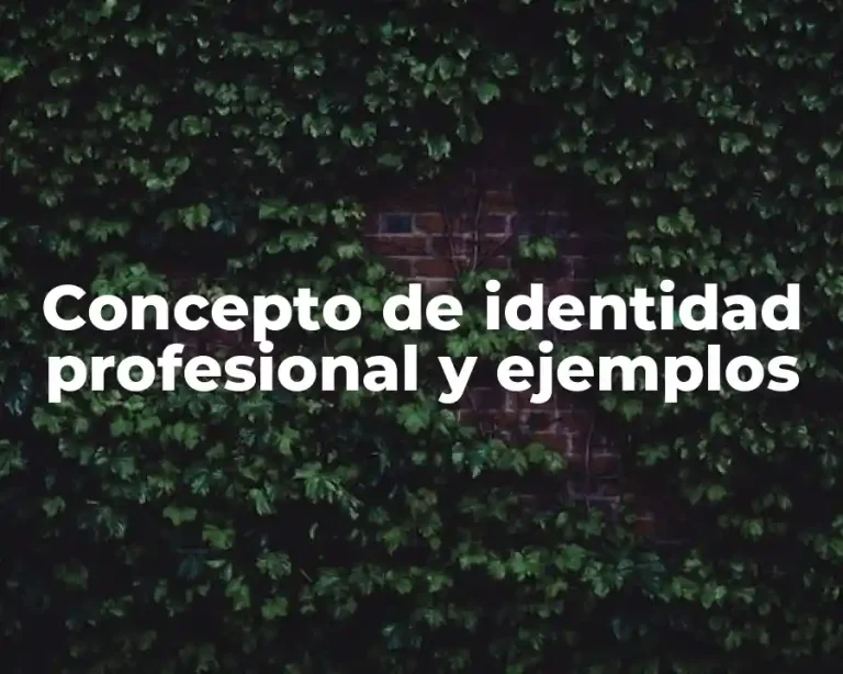 Concepto de identidad profesional y ejemplos