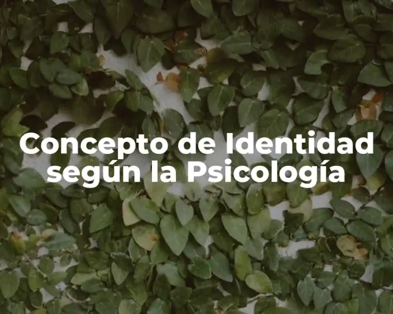 Concepto de Identidad según la Psicología