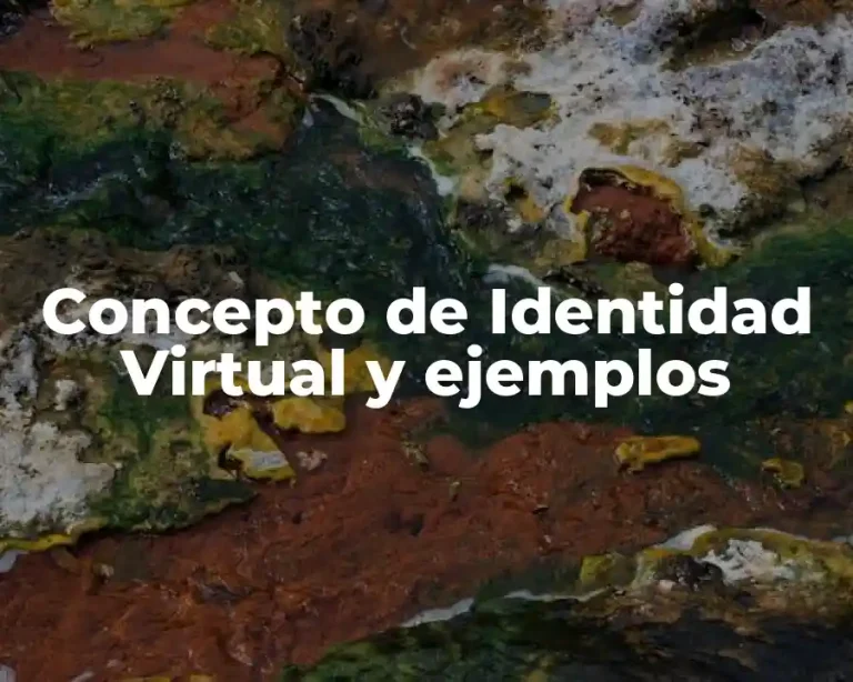 Concepto de Identidad Virtual y ejemplos