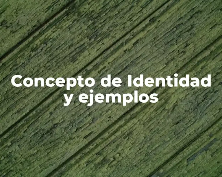 Concepto de Identidad y ejemplos