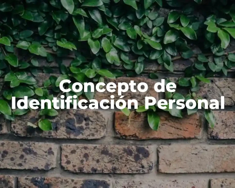 Concepto de Identificación Personal