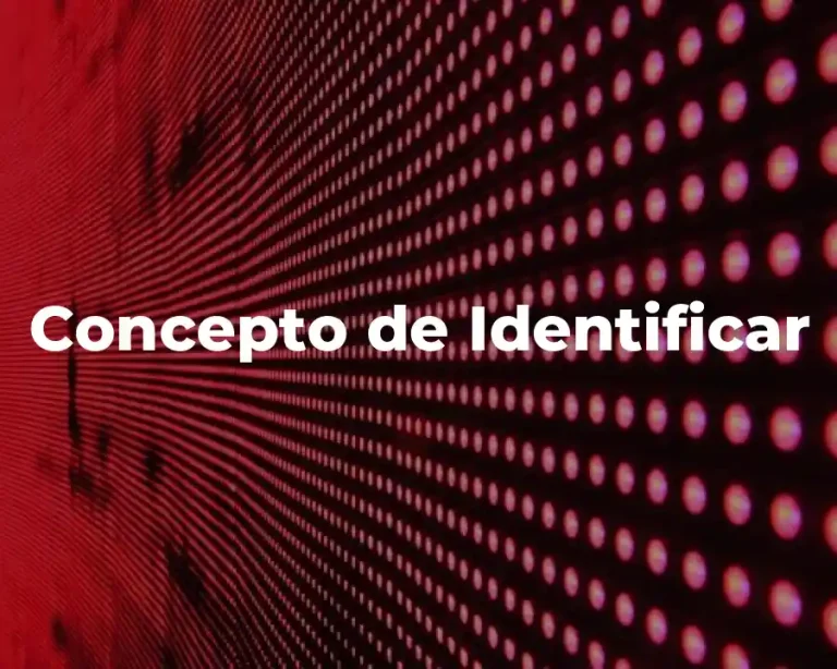 Concepto de Identificar