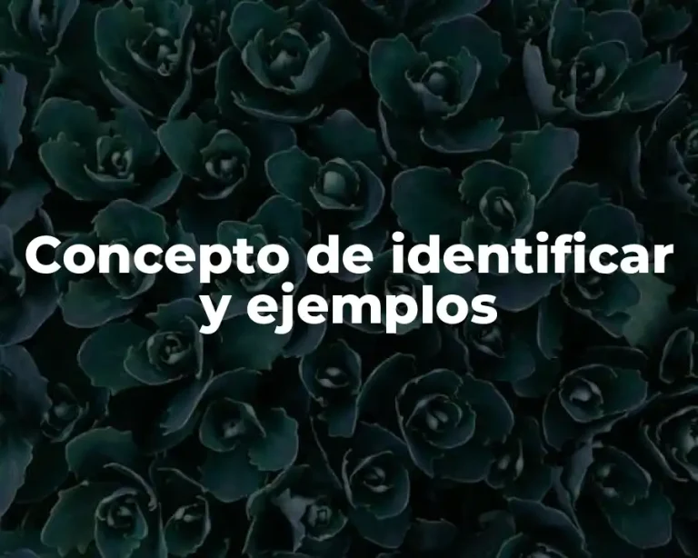 Concepto de identificar y ejemplos