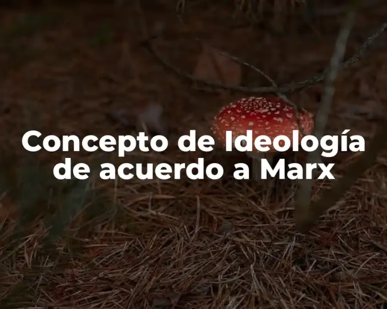 Concepto de Ideología de acuerdo a Marx