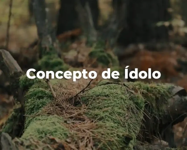 Concepto de Ídolo