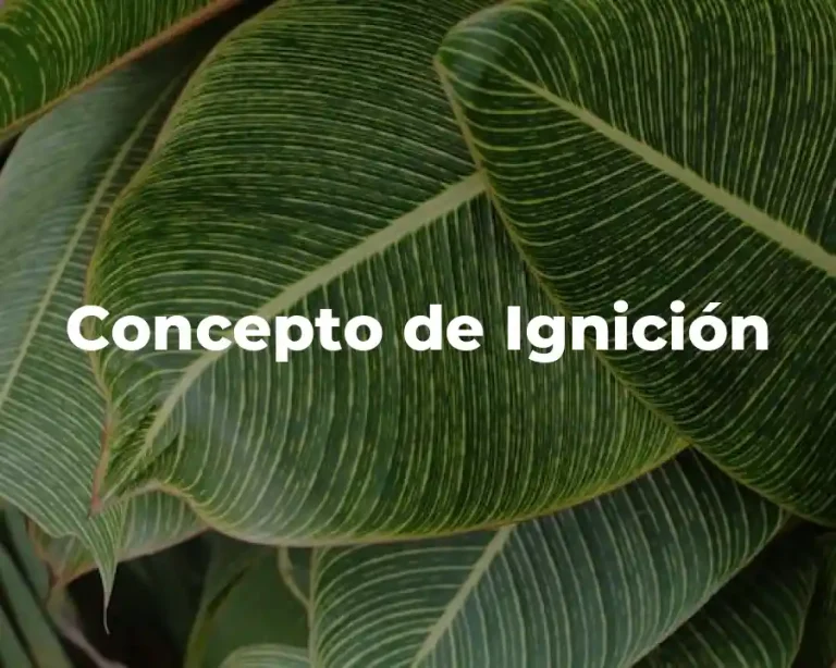 Concepto de Ignición