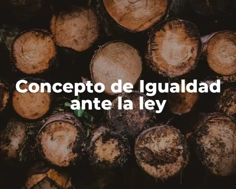 Concepto de Igualdad ante la ley