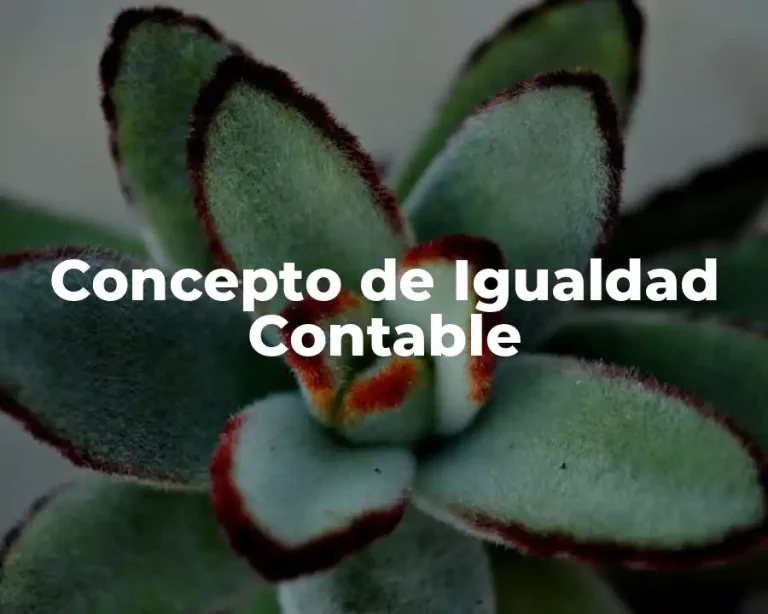 Concepto de Igualdad Contable