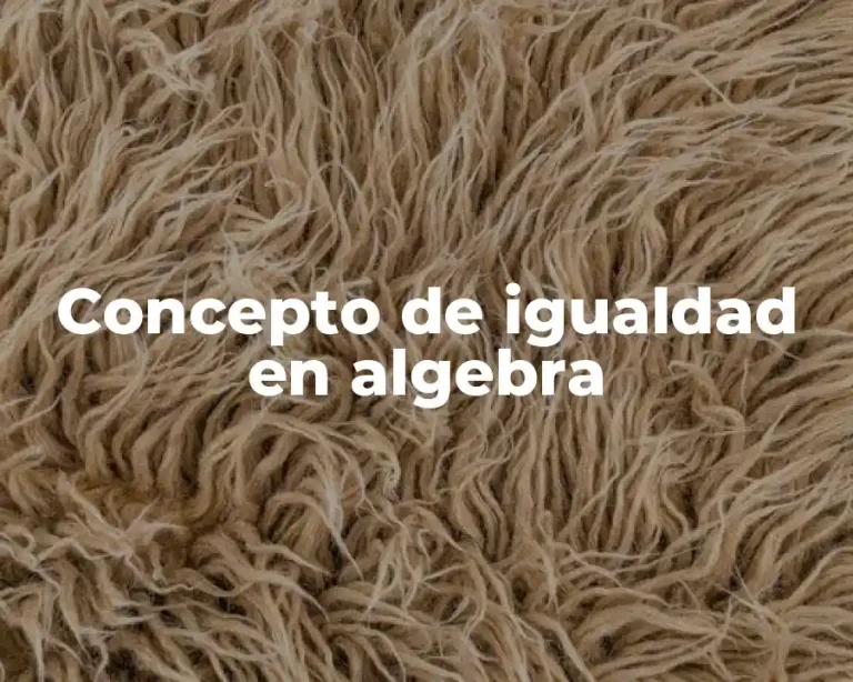 Concepto de igualdad en algebra