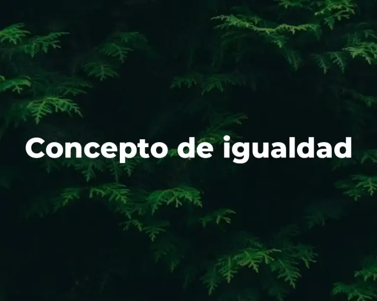 Concepto de Igualdad