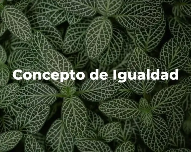 Concepto de Igualdad